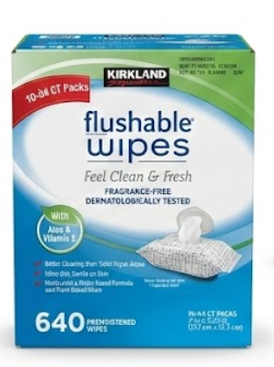 Member's Mark Premium Baby Wipes, Fragrance Free, 12 pk.